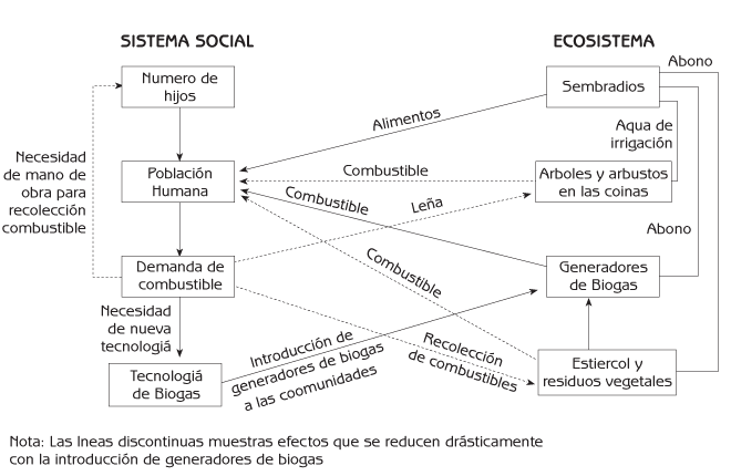 Resultado de imagen para efectos del humano en el ecosistema esquema