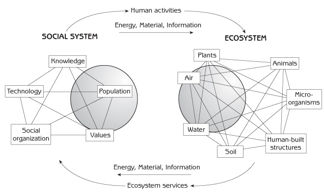 Figure 1.1 - Interaction of the human social system with the ecosystem