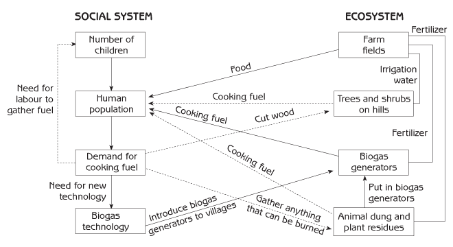 Figure 1.5 - Chain of effects through social system and ecosystem when biofuel generators are introduced to villages