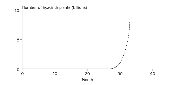 Figure 2.3 - Exponential growth of the water hyacinth population