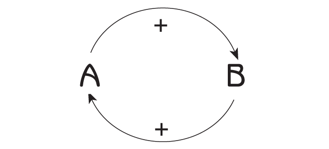 Figure 2.4 - A positive feedback loop