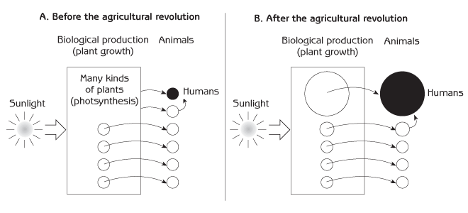 Figure 3.1 - Distribution of biological production among plants and animals in the ecosystem food web