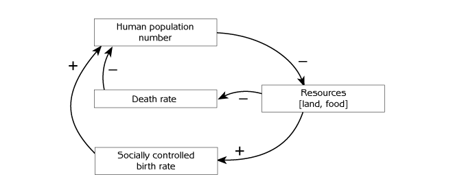 Figure 3.9 - Negative feedback loops for social control of human population