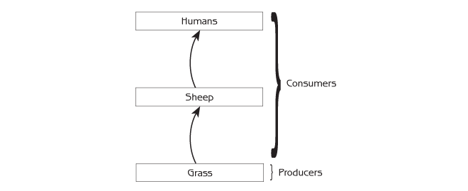 Figure 4.1 - Initial food chain in the island story