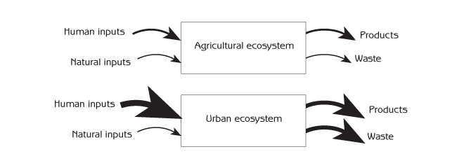 Figure 5.3 - Inputs and outputs of materials, energy and information with agricultural and urban ecosystems