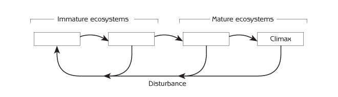 Figure 6.3 - Ecological succession as a complex system cycle
