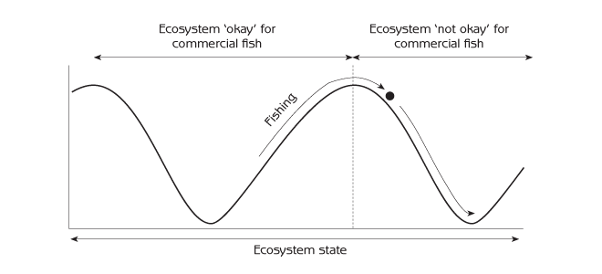 Figure 6.7 - Disappearance of commercial fish due to overfishing