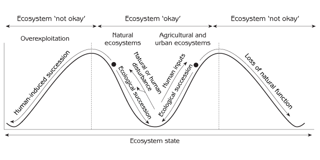 Figure 6.8 - The okay/not okay principle of human-induced succession