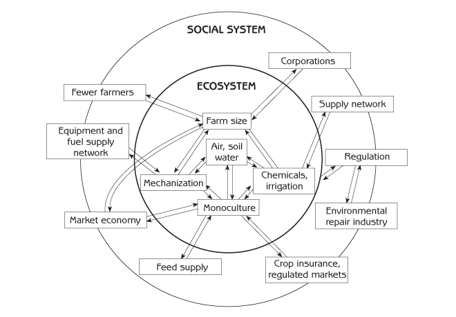 Figure 7.3 - Interaction of the social system with agricultural ecosystems after the Industrial Revolution