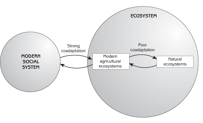 Figure 7.4 - Coadaptation of modern social sytems and ecosystems