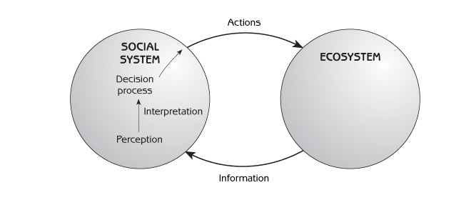 Figure 9.1 - The role of perceptions of nature in decisions affecting ecosystems