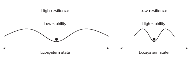 Figure 11.3 - Stability domain diagrams comparing high and low resilience