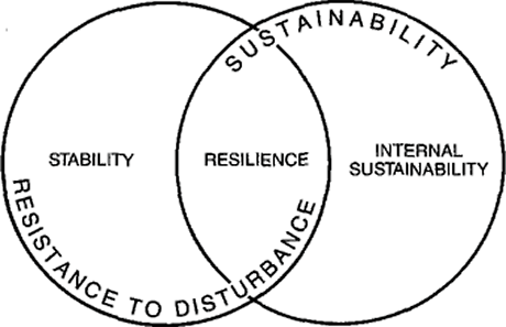 Figure 4 - Relationships of stability, resilience and sustainability.