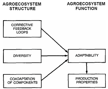 Figure 5 - An example of the causal connections between system properties of agroecosystem structure and system properties of agroecosystem production.