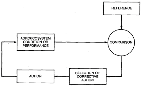 Figure 6 - Basic elements in a corrective feedback loop for adaptive agroecosystem design.